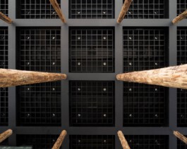 Holzbau Atlas DE