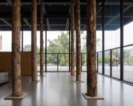 Holzbau Atlas DE