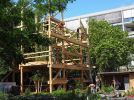 Holzbau Atlas DE