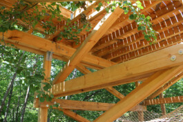 Holzbau Atlas DE
