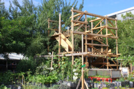 Holzbau Atlas DE