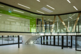 Holzbau Atlas DE