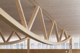 Holzbau Atlas DE