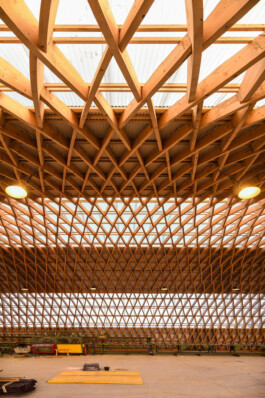 Holzbau Atlas DE