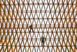 Holzbau Atlas DE