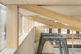 Holzbau Atlas DE
