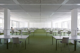 Holzbau Atlas DE