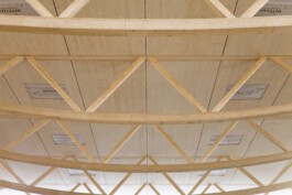 Holzbau Atlas DE