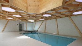 Holzbau Atlas DE