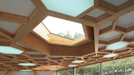 Holzbau Atlas DE