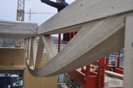 Holzbau Atlas DE