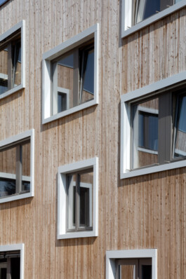 Holzbau Atlas DE