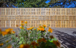 Holzbau Atlas DE