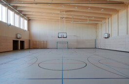 Holzbau Atlas DE
