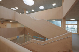 Holzbau Atlas DE