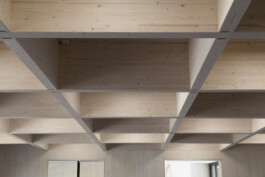 Holzbau Atlas DE