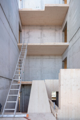 Holzbau Atlas DE
