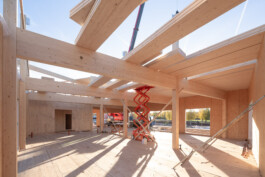 Holzbau Atlas DE