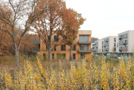 Holzbau Atlas DE