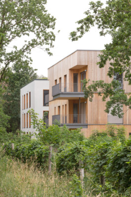 Holzbau Atlas DE