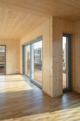 Holzbau Atlas DE