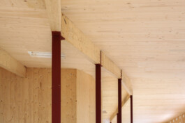Holzbau Atlas DE