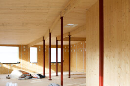 Holzbau Atlas DE