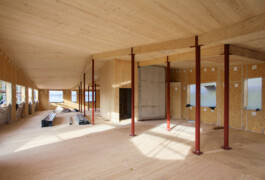 Holzbau Atlas DE