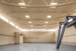 Holzbau Atlas DE