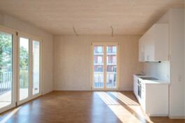 Holzbau Atlas DE