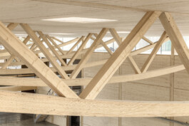 Holzbau Atlas DE