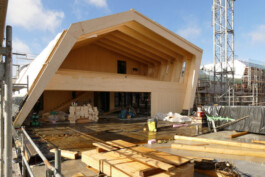 Holzbau Atlas DE