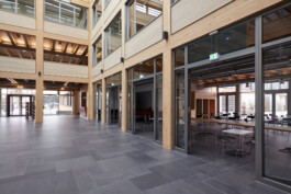 Holzbau Atlas DE