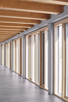 Holzbau Atlas DE