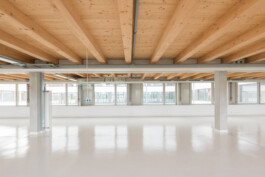 Holzbau Atlas DE