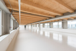 Holzbau Atlas DE