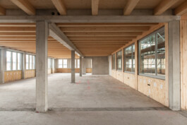 Holzbau Atlas DE