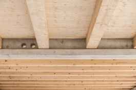 Holzbau Atlas DE