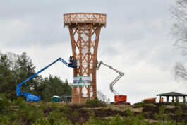 Holzbau Atlas DE