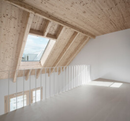 Holzbau Atlas DE