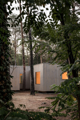 Holzbau Atlas DE