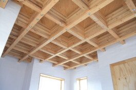 Holzbau Atlas DE