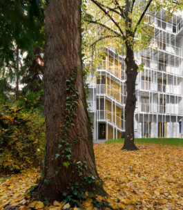 Holzbau Atlas DE