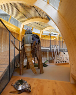 Holzbau Atlas DE
