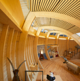 Holzbau Atlas DE
