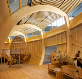 Holzbau Atlas DE