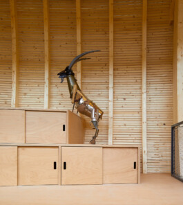 Holzbau Atlas DE