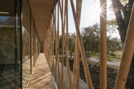 Holzbau Atlas DE