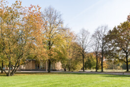 Holzbau Atlas DE