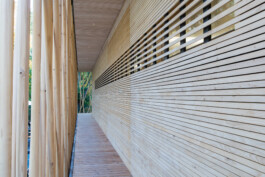 Holzbau Atlas DE